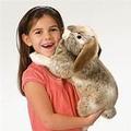 Folkmanis Holland Lop Rabbit