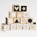 Uncle Goose To Tonet ABC Blocks